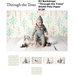 R2 Backdrops Professional Background for Photography "Through The Trees" 84x60